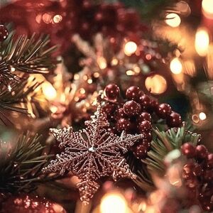 🌟 NFS Elegant Holiday Star Ornament (Closet Ad)